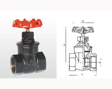 6199 Z15T-16Q 鐵制閘閥
